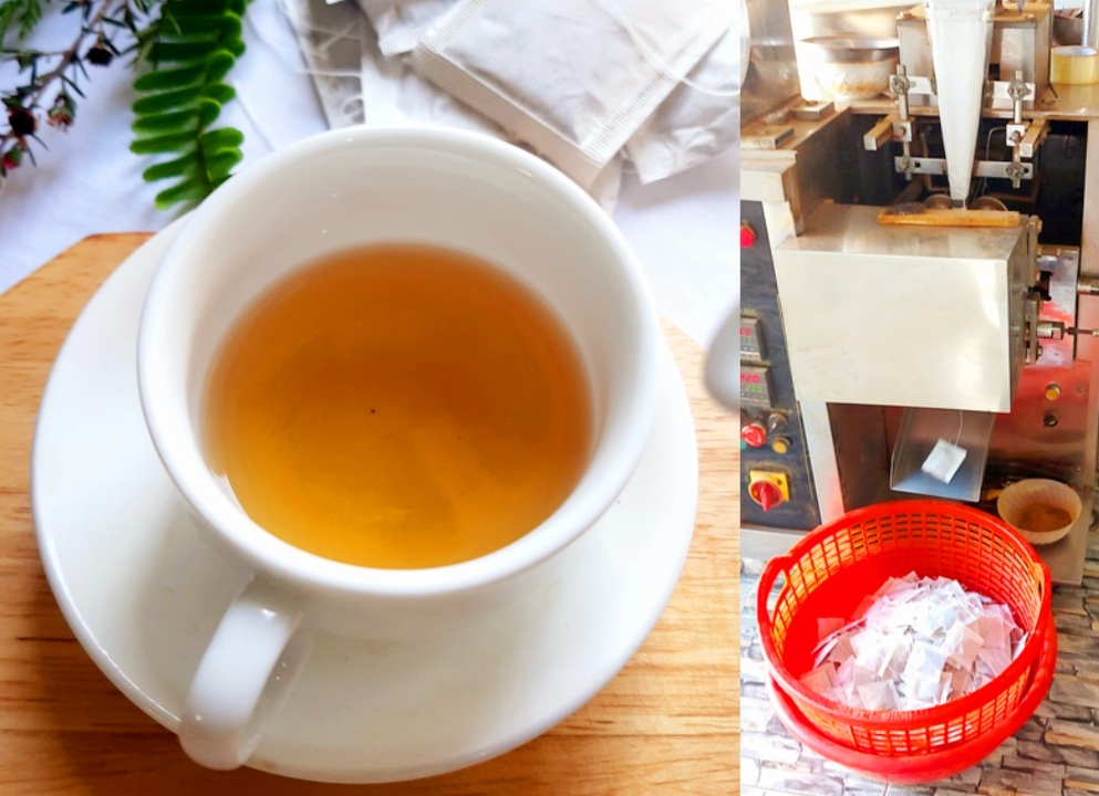 CHẾ BIẾN TRÀ ATISO TÚI LỌC KHÓ KHÔNG