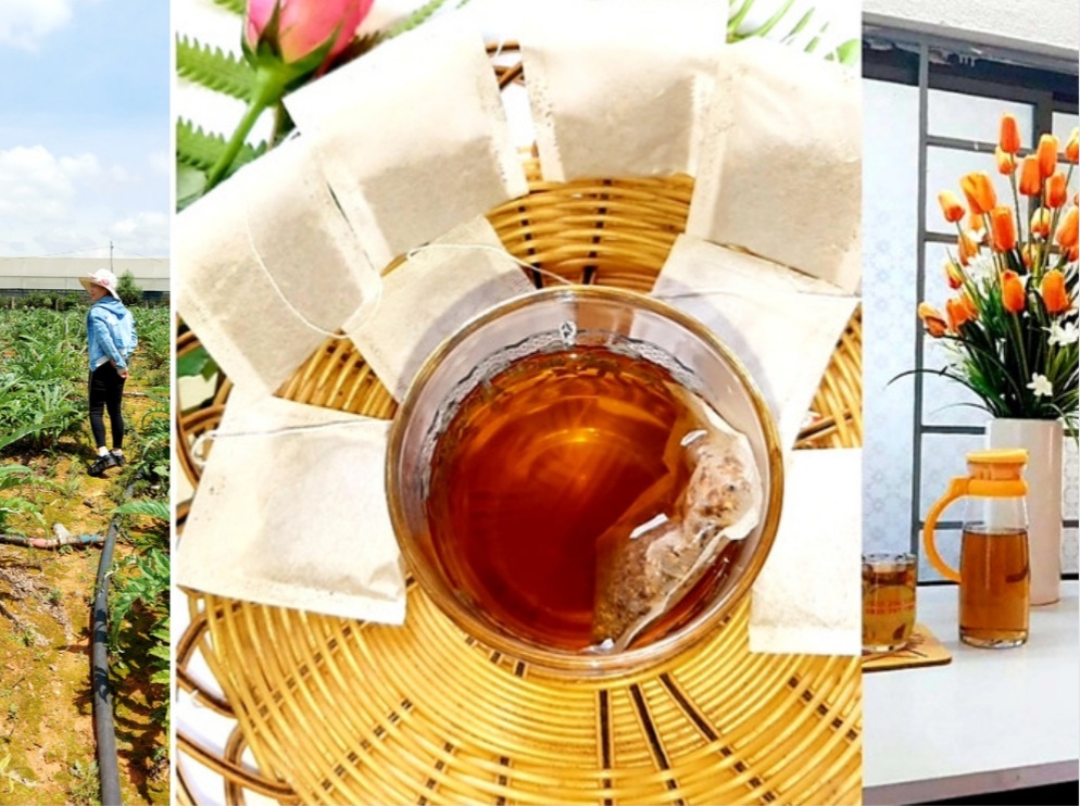 CHẾ BIẾN TRÀ ATISO TÚI LỌC ĐÀ LẠT TRÀ ATISO TÚI LỌC LÀ GÌ