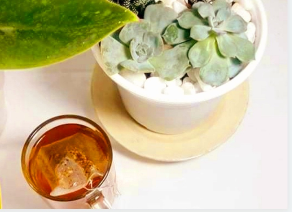 BỊ MỤN DÙNG TRÀ ATISO TỐT KHÔNG DÙNG TRÀ ATISO GIẢM MỤN KHÔNG