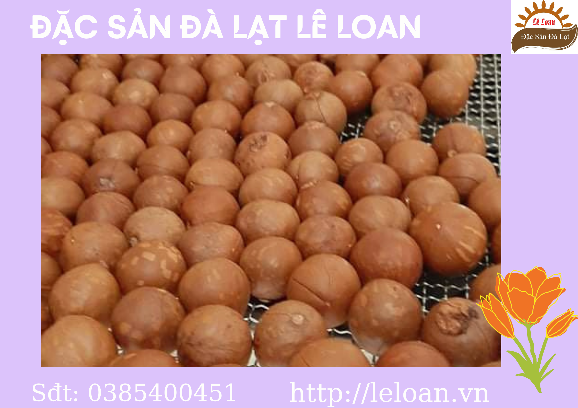 Nguyên Nhân Vì Sao Hạt Macca Bị Hôi Dầu 