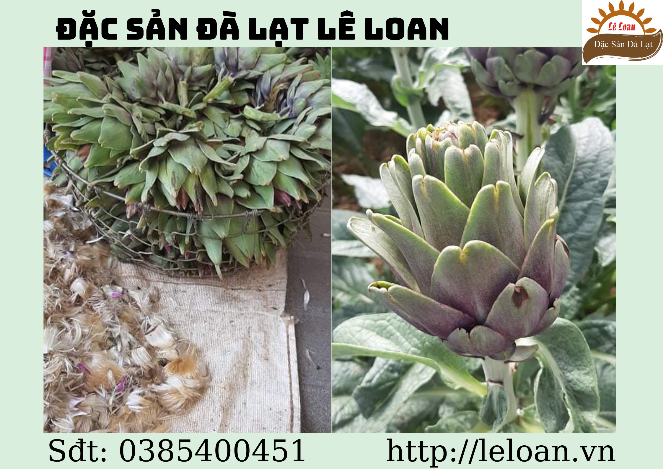 Cây Atiso Có Những Công Dụng Tuyệt Vời Bạn Nên Biết 