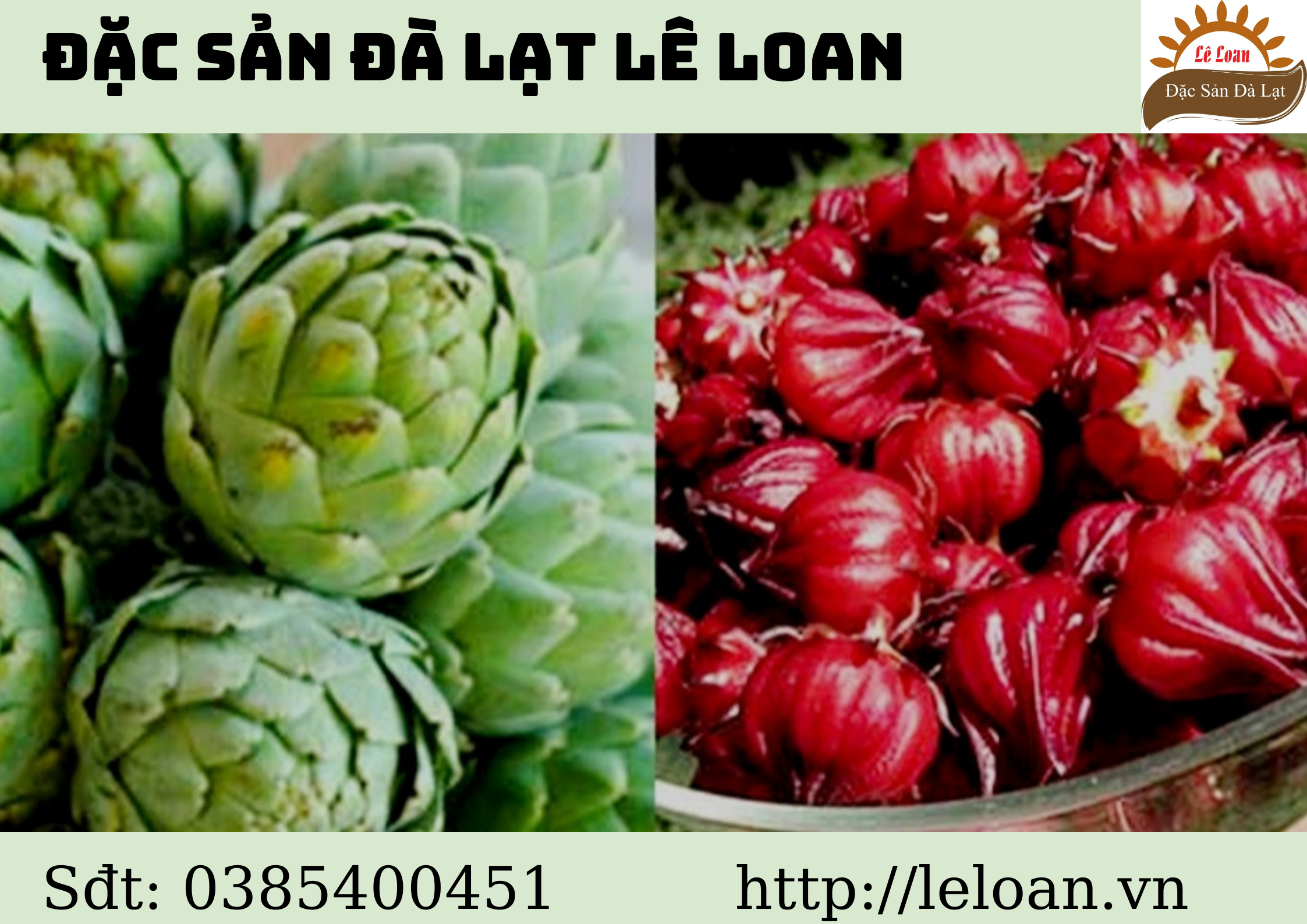   Sự Khác Biệt Giữa Hoa Atiso Xanh Và Hoa Atiso Đỏ 