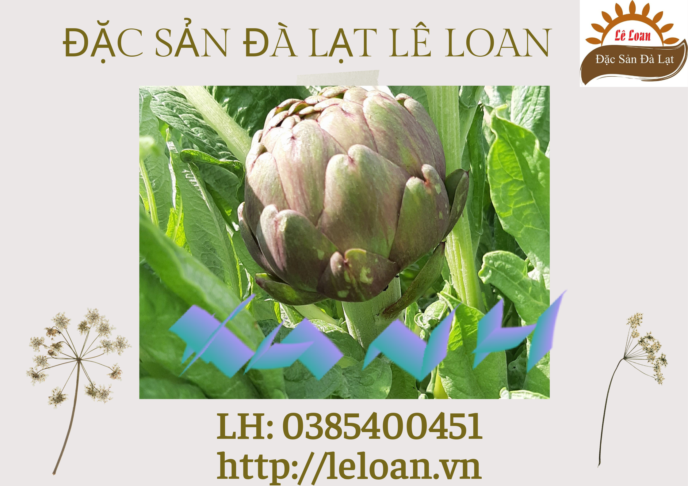   Sự Khác Biệt Giữa Hoa Atiso Xanh Và Hoa Atiso Đỏ 