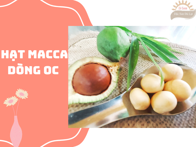 ĂN HẠT MACCA CÓ TÁC DỤNG GÌ?