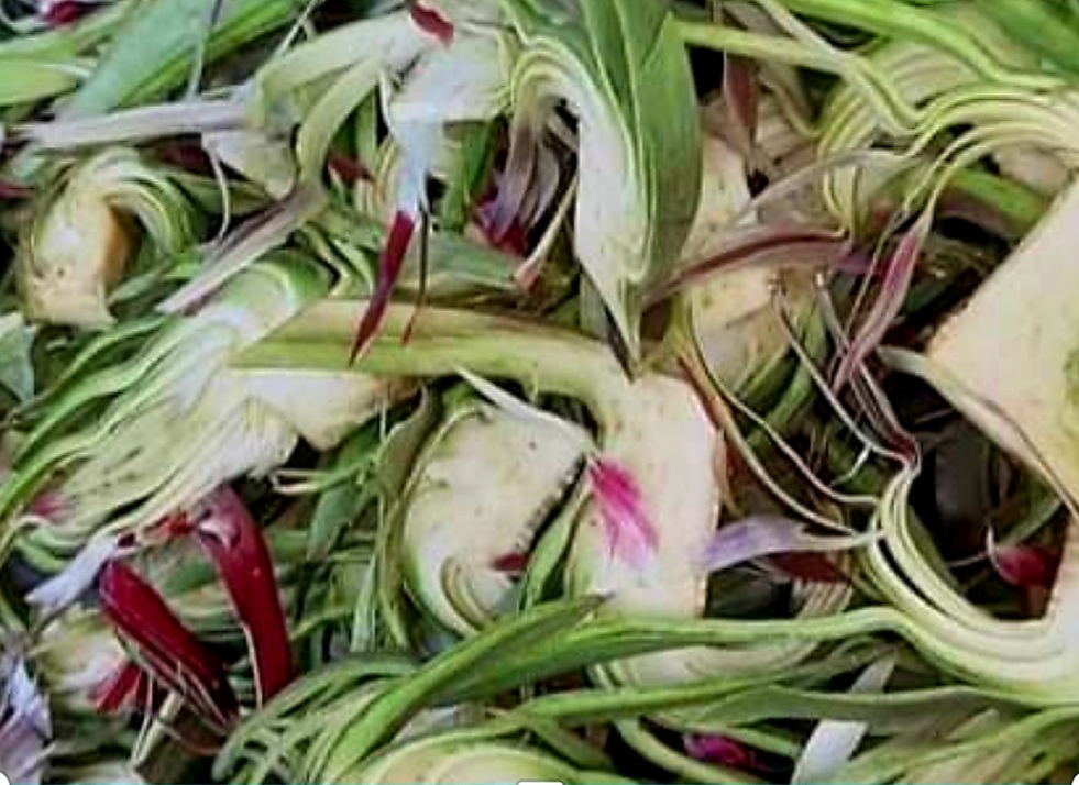 HOA ATISO DALAT SẤY KHÔ ĐẶC SẢN ĐÀ LẠT LÊ LOAN