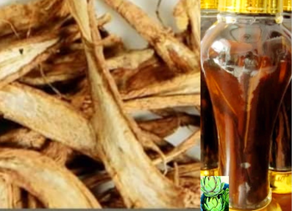 CÁCH NGÂM RƯỢU RỄ ATISO ĐÀ LẠT RỄ ATISO ĐÀ LẠT CÓ TỐT KHÔNG