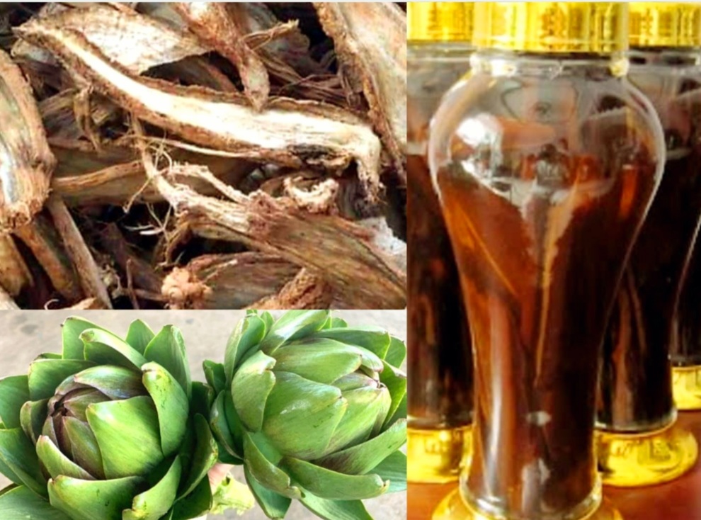 CÁCH NGÂM RƯỢU RỄ ATISO ĐÀ LẠT ĐẶC SẢN ĐÀ LẠT LÊ LOAN