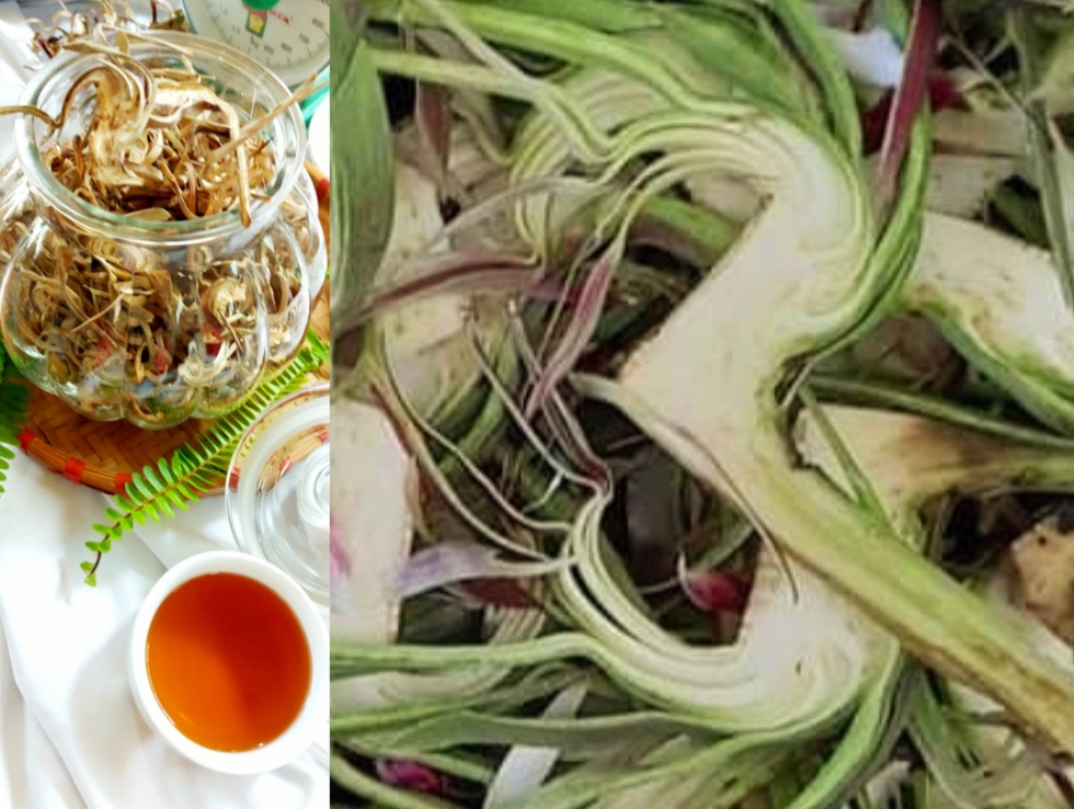 Công Dụng Bông Atiso Sấy Khô Là Gì? Công Dụng Bông Atiso Sấy Khô Đà Lạt