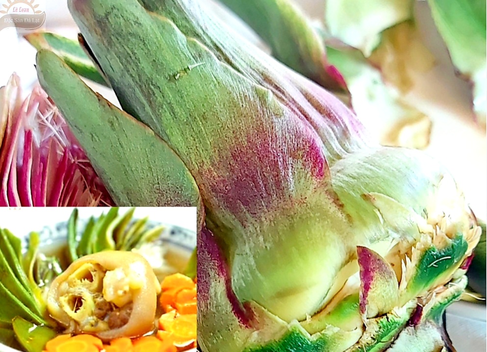 Lợi Ích Hoa Atiso Tươi Đà Lạt Là Gì? Cách Hầm Hoa Atiso tươi Giò Heo