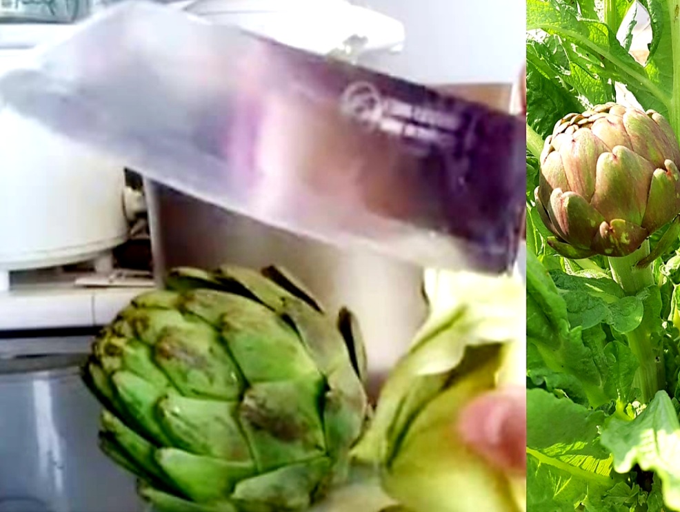 Lợi Ích Hoa Atiso Tươi Đà Lạt Là Gì? Cách Hầm Hoa Atiso tươi Giò Heo