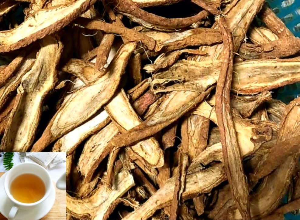 Atiso Sấy Khô Đà Lạt Tốt Cho Gan ? Những Ai Nên Dùng Rễ Atiso?