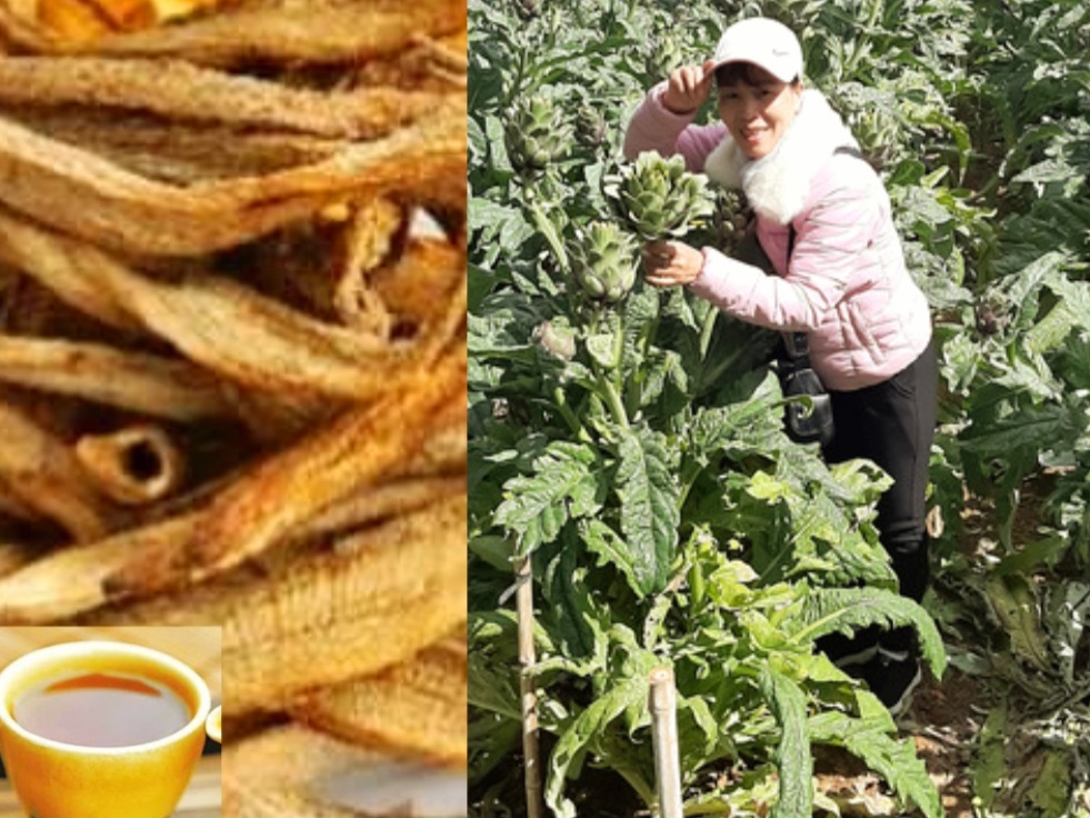 Atiso Sấy Khô Đà Lạt Tốt Cho Gan ? Những Ai Nên Dùng Rễ Atiso?