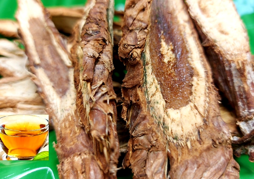 Thân Atiso Đà Lạt Sấy Khô Có Tác Dụng Gì? Huóng Dẫn Sử Dụng Rễ Atiso Đà Lạt Sấy Khô.