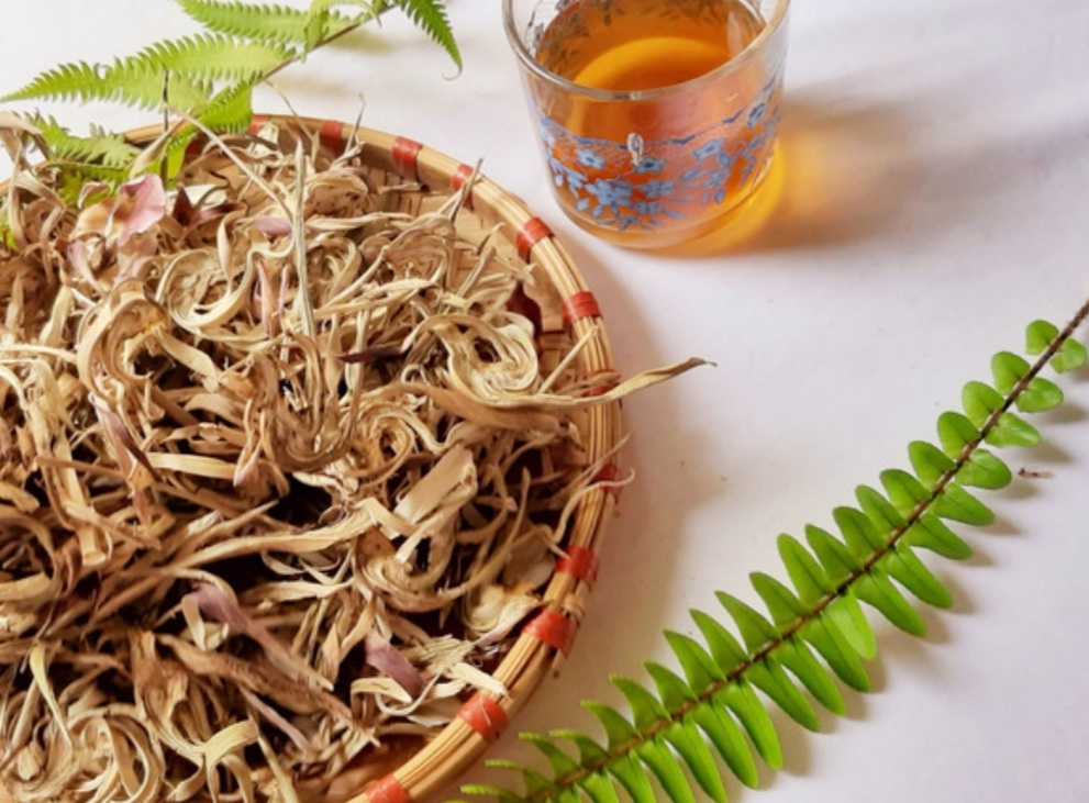 Cách Chọn Bông Atiso Đà Lạt Sấy Khô Hàng Chuẩn - Mua Bông Atiso Đà Lạt Sấy Khô Hàng Chuẩn Ở Đâu?