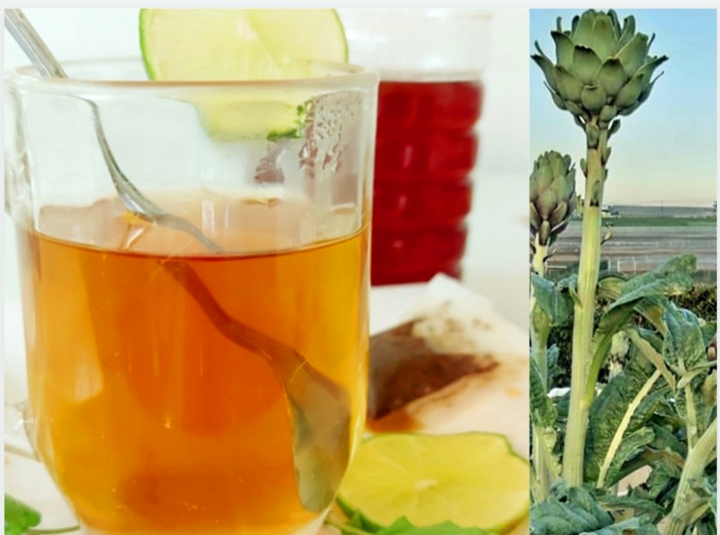 Uống Trà Atiso Đà Lạt Có Giảm Cân Không-