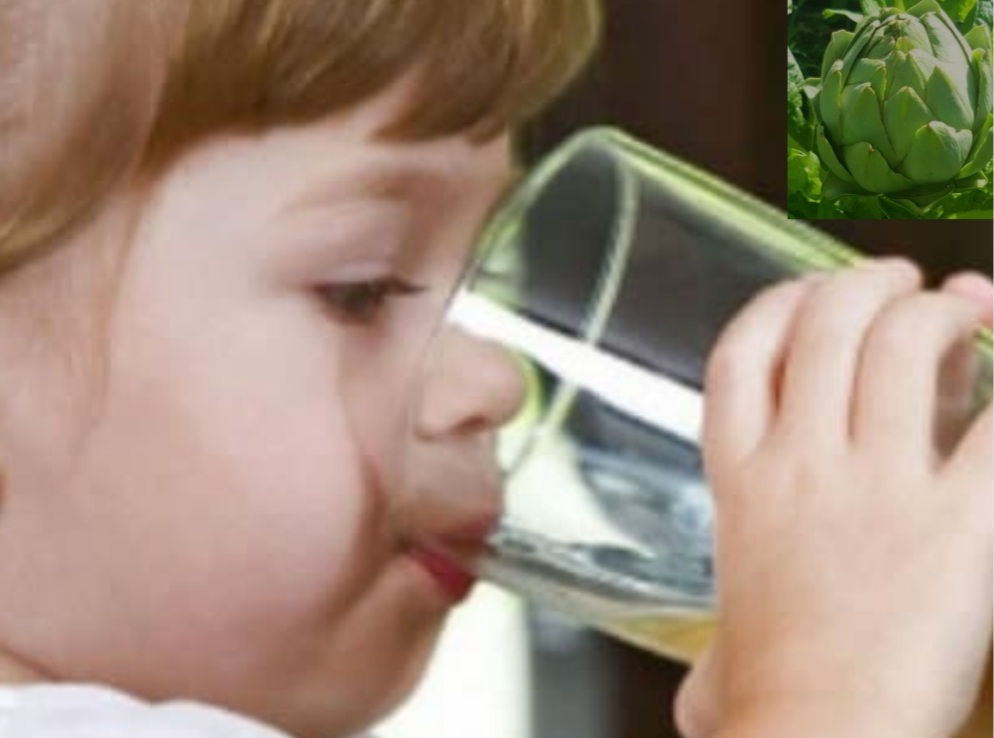 Trẻ Em Uống Trà Atiso Đà Lạt Có Tốt Không - Trẻ Em Bao Nhiêu Tuổi Uống Trà Atiso Được