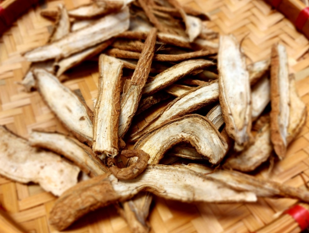 Rễ Atiso Sấy Khô Giải Độc Gan Mua Hàng Chất Lượng Ở Đâu