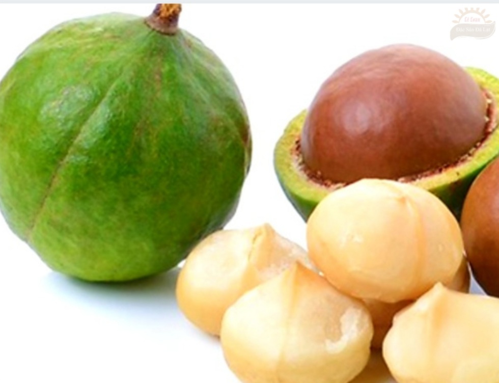 Hạt Mắc Ca Có Tác Dụng Gì? Những Người Nên Hạn Chế Ăn Hạt Mắc Ca