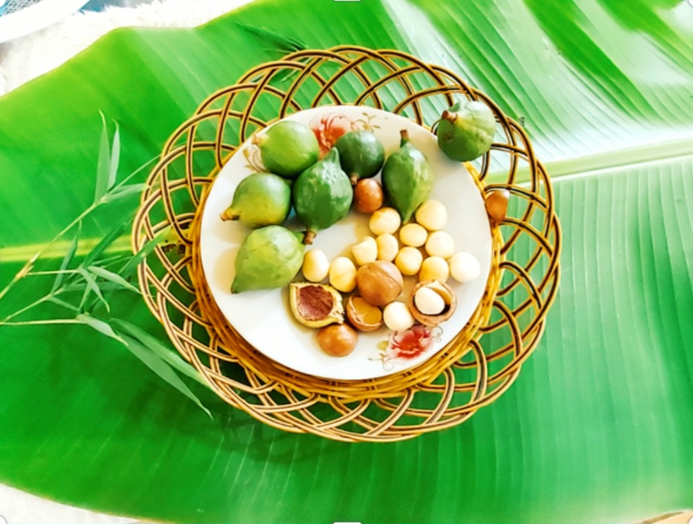 Hạt Mắc Ca Có Tác Dụng Gì? Những Người Nên Hạn Chế Ăn Hạt Mắc Ca