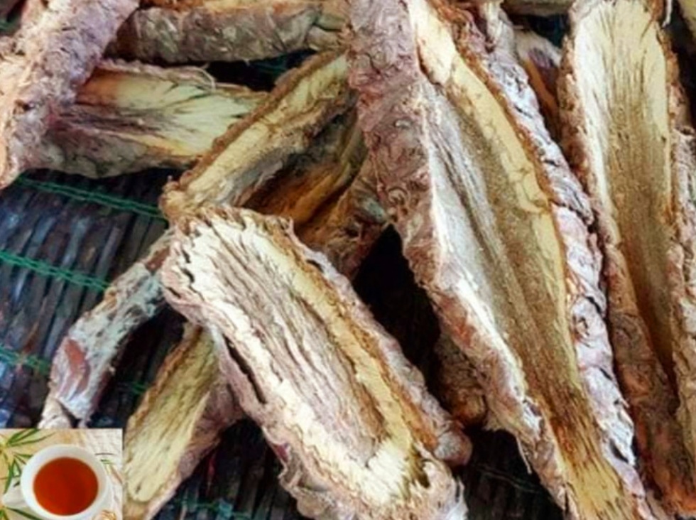 Công Dụng Thân Thân Atiso Đà Lạt Sấy Khô Là Gì?