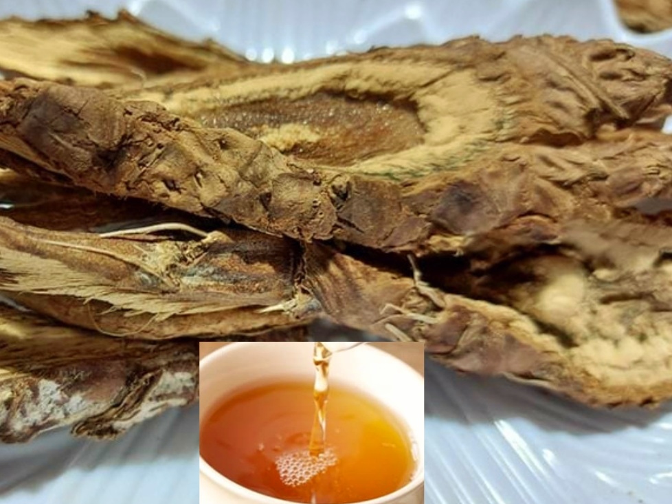 Công Dụng Thân Thân Atiso Đà Lạt Sấy Khô Là Gì?