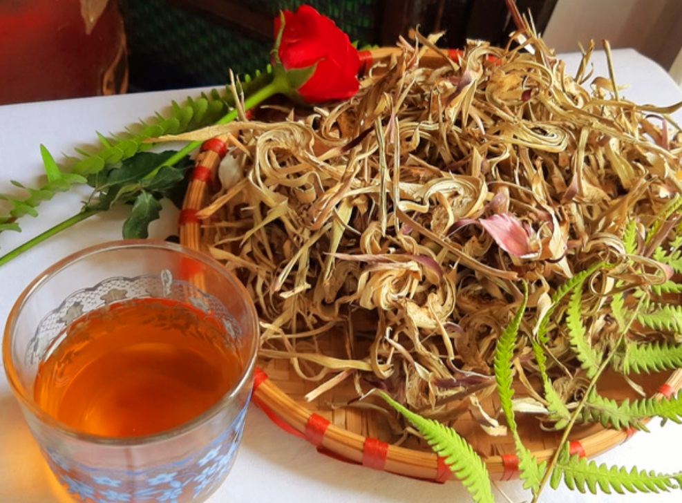 Bệnh Mỡ Máu Uống Trà Atiso Đà Lạt Tốt Không