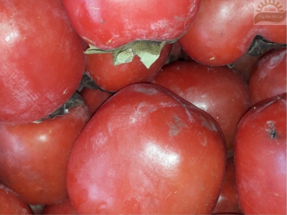 Những Điều Cấm Kỵ Khi Ăn Trái Hồng Đà Lạt Là Gì 