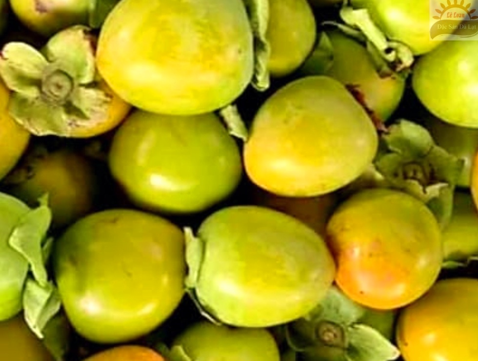 Những Điều Cấm Kỵ Khi Ăn Trái Hồng Đà Lạt Là Gì 