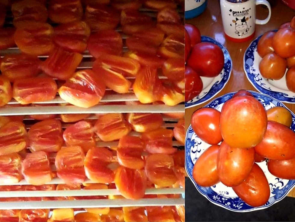 Hồng Đà Lạt Sấy Dẻo Là Gì? Cách Chế Biến Hồng Đà Lạt Sấy Dẻo