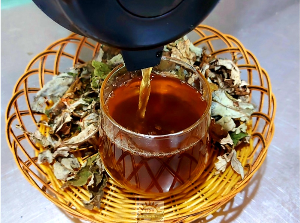 Uống Lá Atiso Dalat Có Tốt Không - Cách Sử Dụng Lá Atiso Dalat