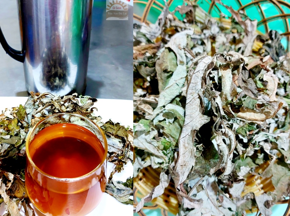 Uống lá atiso Đà Lạt giảm viêm xương khớp Uống Lá Atiso Dalat Có Tốt Không - Cách Sử Dụng Lá Atiso Dalat