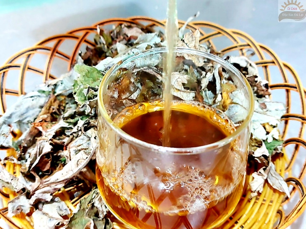 Uống Lá Atiso Dalat Có Tốt Không - Cách Sử Dụng Lá Atiso Dalat