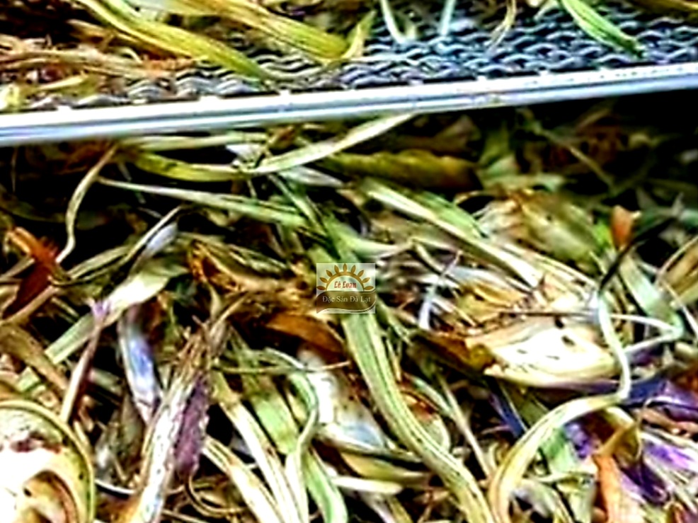 Bông atiso Đà Lạt sấy Khô tốt cho người bị huyết áp cao Bông Atiso Đà Lạt Sấy Khô Có Tốt Không? Tác Dụng Phụ Của Bông Atiso Đà Lạt Là Gì