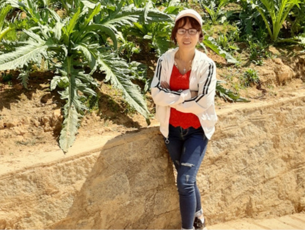 Nguồn Gốc Cây Atiso - Cây Atiso Đà Lạt Được Trồng Nhiều Nhất Ở Đâu 