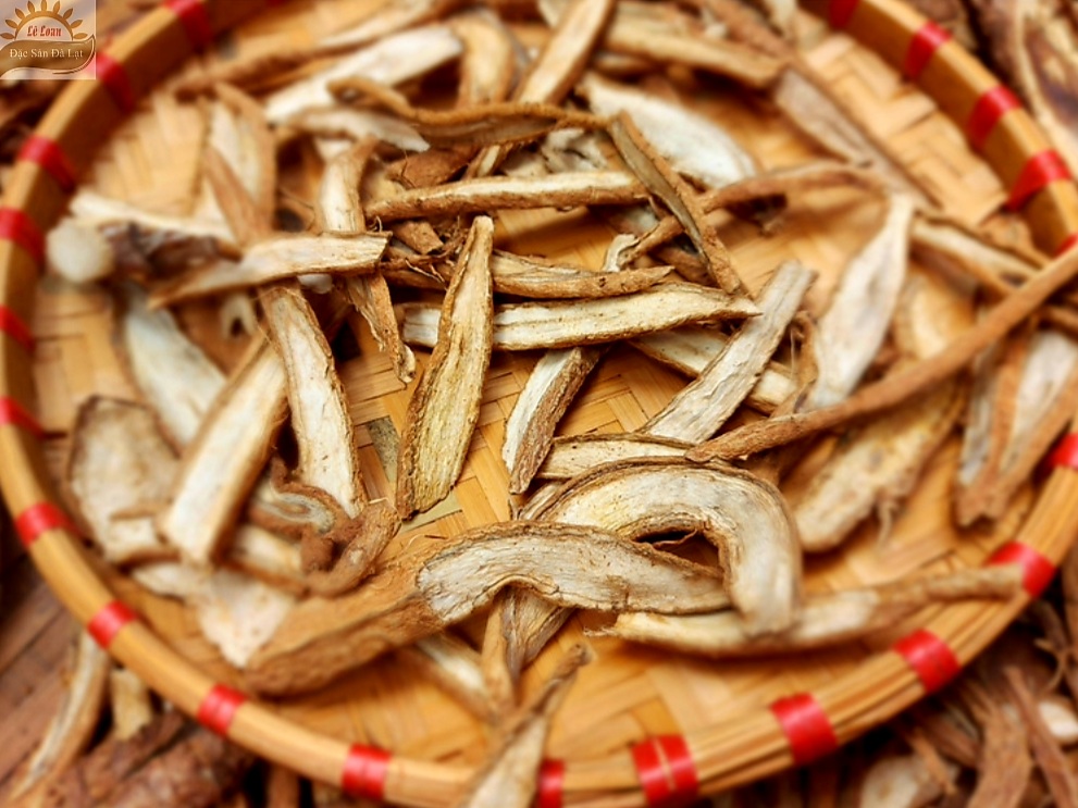 Uống Rễ Cây Atiso Đà Lạt Tốt  Không- Cách Chọn Rễ Cây Atiso Đà Lạt loại Ngon |