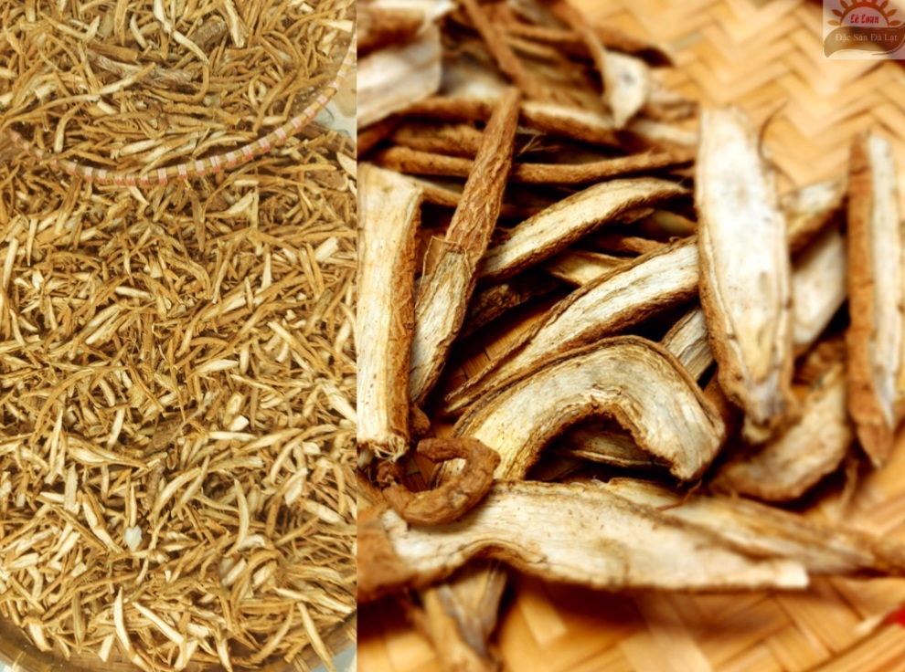 Uống Rễ Cây Atiso Đà Lạt Tốt  Không- Cách Chọn Rễ Cây Atiso Đà Lạt loại Ngon |