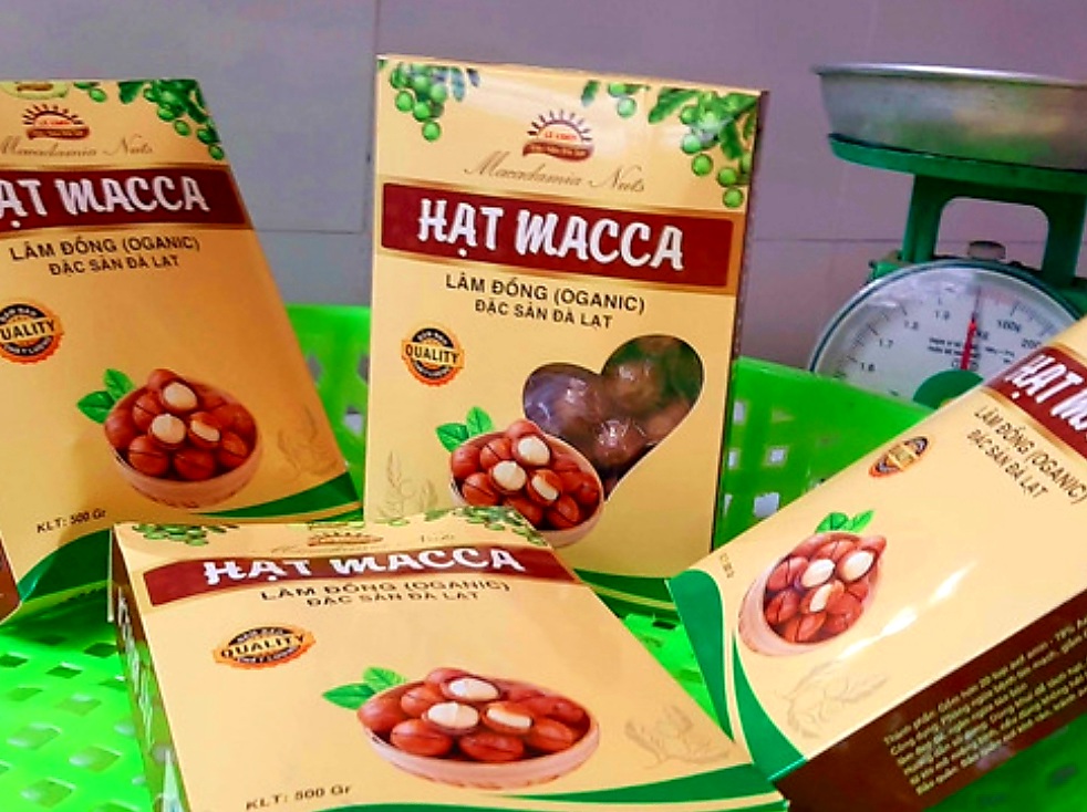 Cách Sử Dụng Hạt Mắc Ca Bài Bản Nên Sử Dụng Bao Nhiêu Hạt Mắc Ca Một Ngày? 