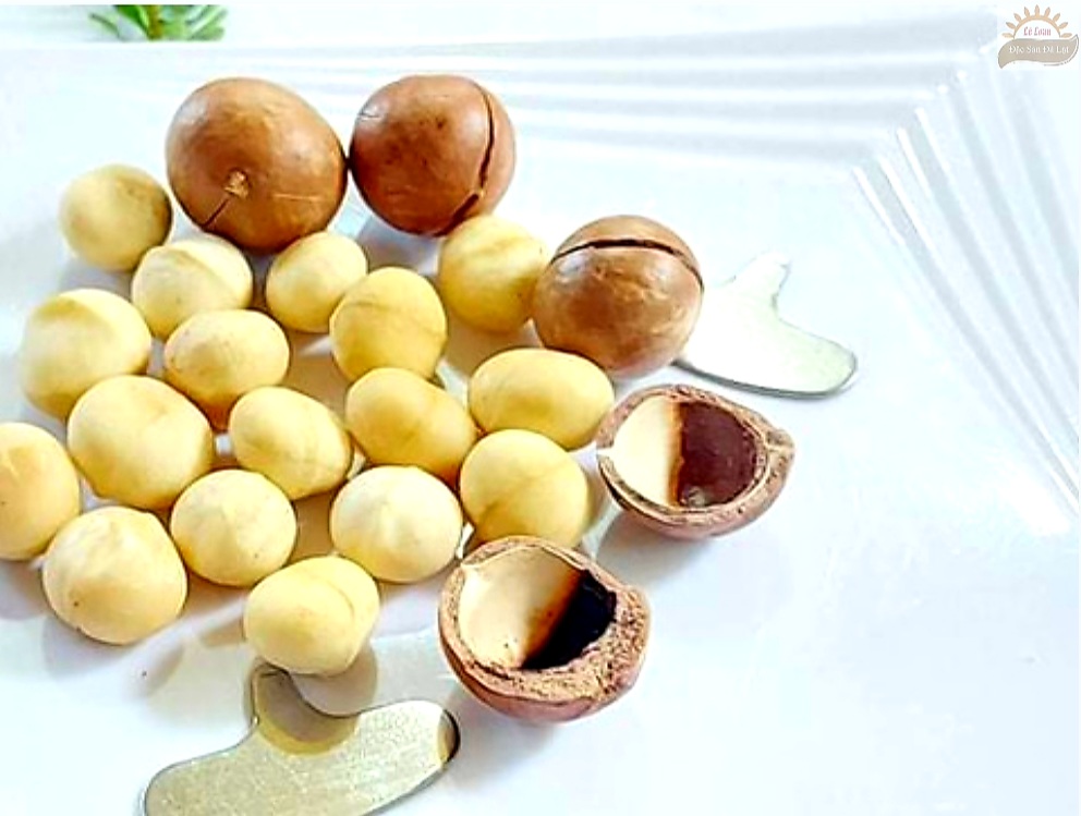 Cách Sử Dụng Hạt Mắc Ca Bài Bản Nên Sử Dụng Bao Nhiêu Hạt Mắc Ca Một Ngày?