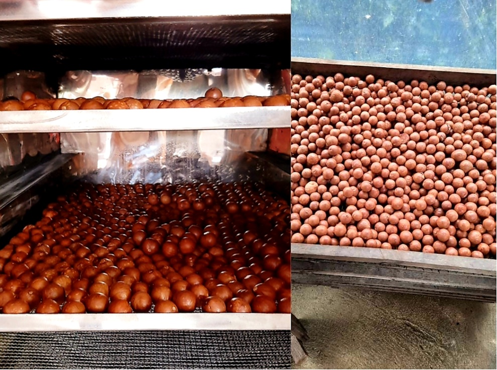 Qui Trình Chế Biến Hạt Mắc Ca- Cách Bảo Quản Hạt Mắc Ca Siêu Ngon