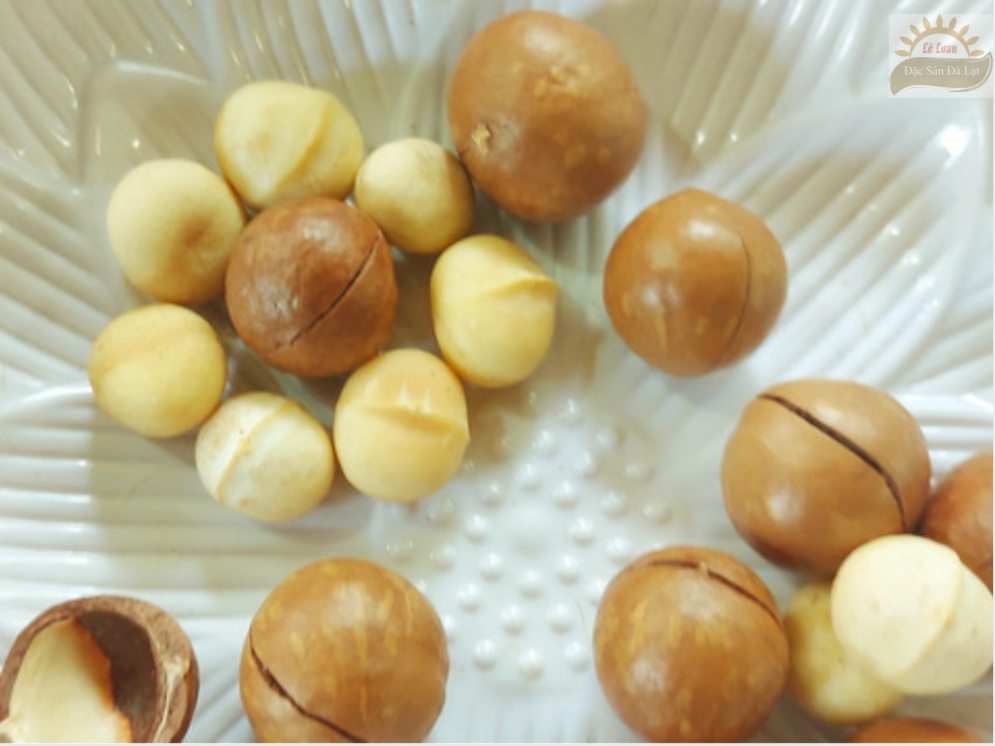 Hạt Mắc Ca Đà Lạt Lâm Đồng Chất Lượng Như Thế Nào? | Bài 214 |